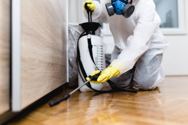 Best Affordable Pest Control Services  in Granite City, IL