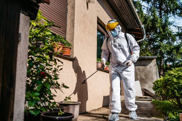 Best Mosquito Control Services  in Granite City, IL