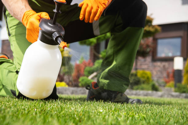 Best Local Pest Control Services  in Granite City, IL