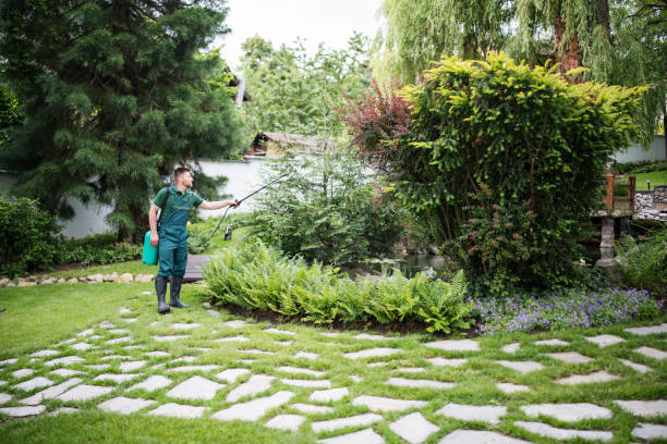 Best Commercial Pest Control Services  in Granite City, IL