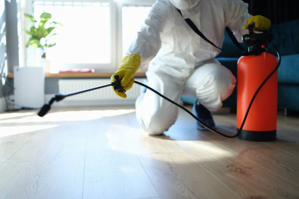 Professional Pest Control in Granite City, IL