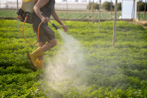 Best Best Pest Control Near Me  in Granite City, IL
