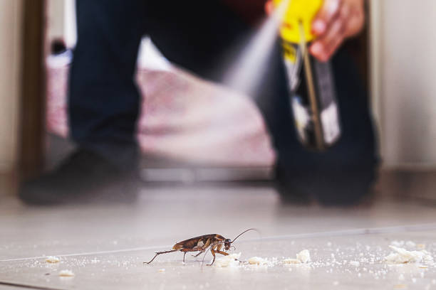 Best Pest Inspection Near Me  in Granite City, IL