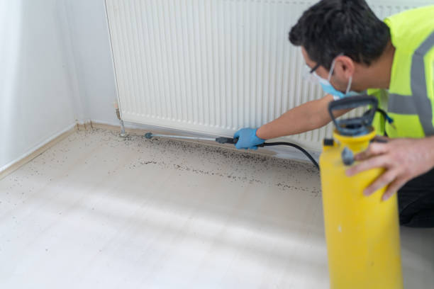 Best Affordable Pest Control Services  in Granite City, IL