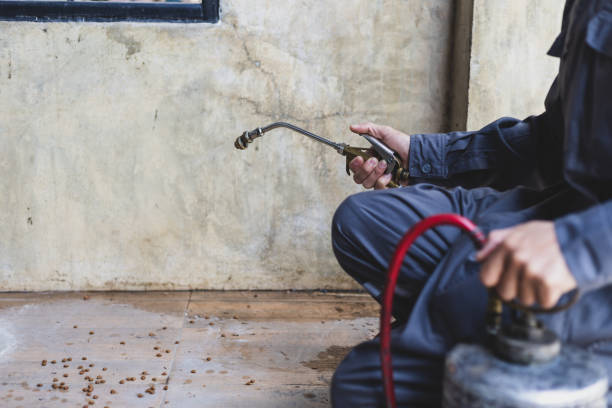 Best Best Pest Control Companies  in Granite City, IL
