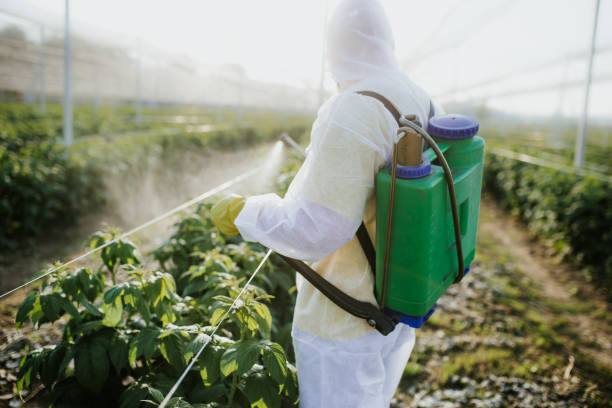 Pest Prevention Services in Granite City, IL
